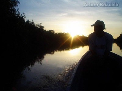 Arturo Brizuela. Retorno de pescador de los esteros de boca de Camichín, Nayarit