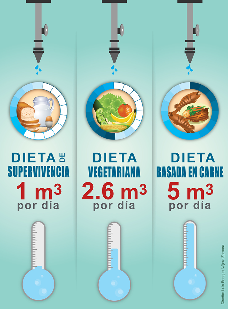 dieta-medidas