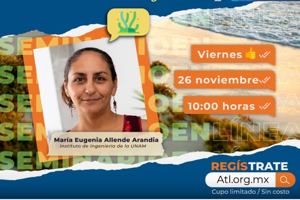 Imagen ilustrativa del seminario en línea Caracterización numérica de la ruta del Sargazo