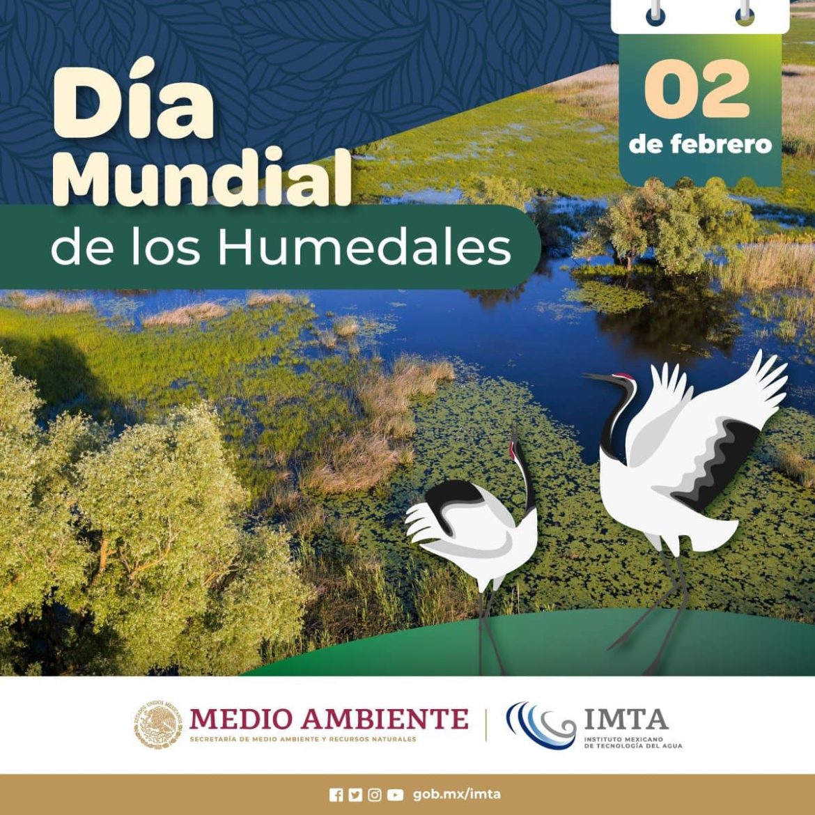 Día Mundial de los Humedales