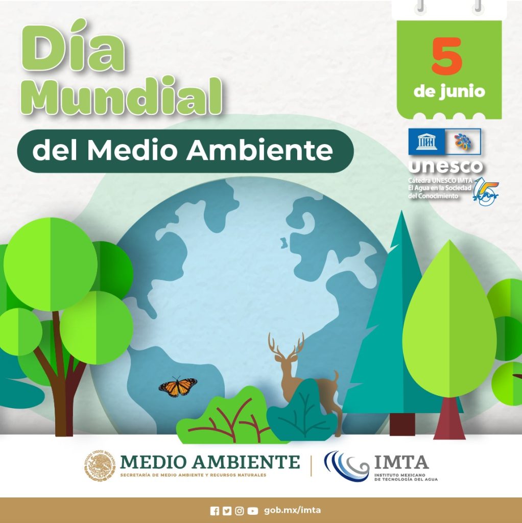 De la contaminación por plástico a su solución