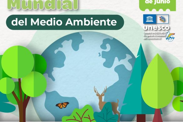 De la contaminación por plástico a su solución