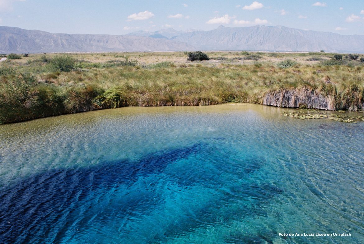 Plan y acciones para la recuperación del ANP de Cuatrociénegas, Coahuila Plan y acciones para la recuperación del ANP de Cuatrociénegas, Coahuila