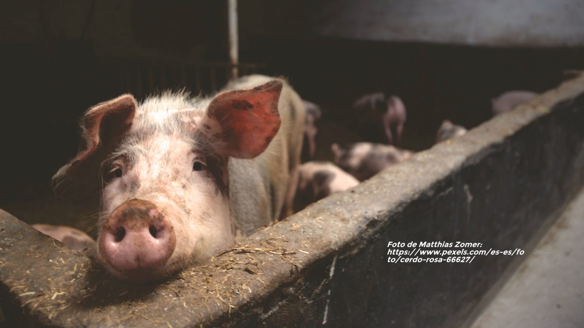 Sustentabilidad hídrica