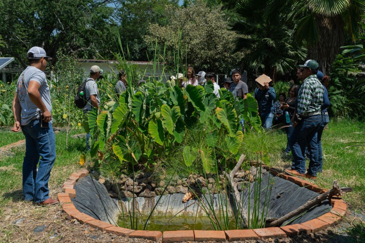 El IMTA ha seleccionado diversas soluciones eco-tecnológicas en materia de agua
