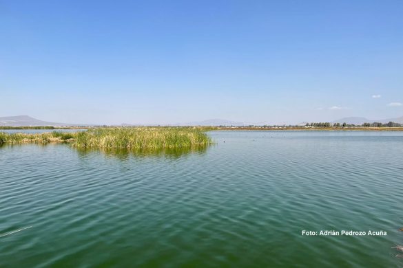 Lago de Texcoco