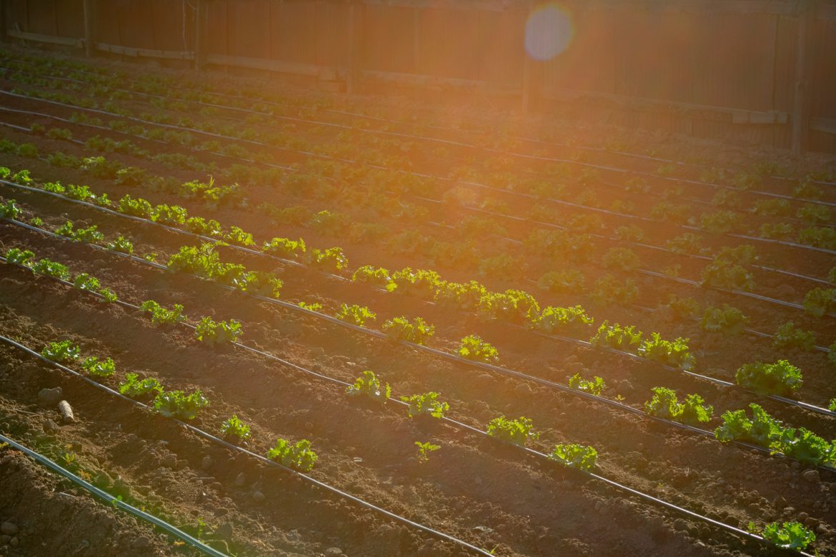 Día Mundial de la Ingeniería Imagen ilustrativa del Día Mundial de la Ingeniería