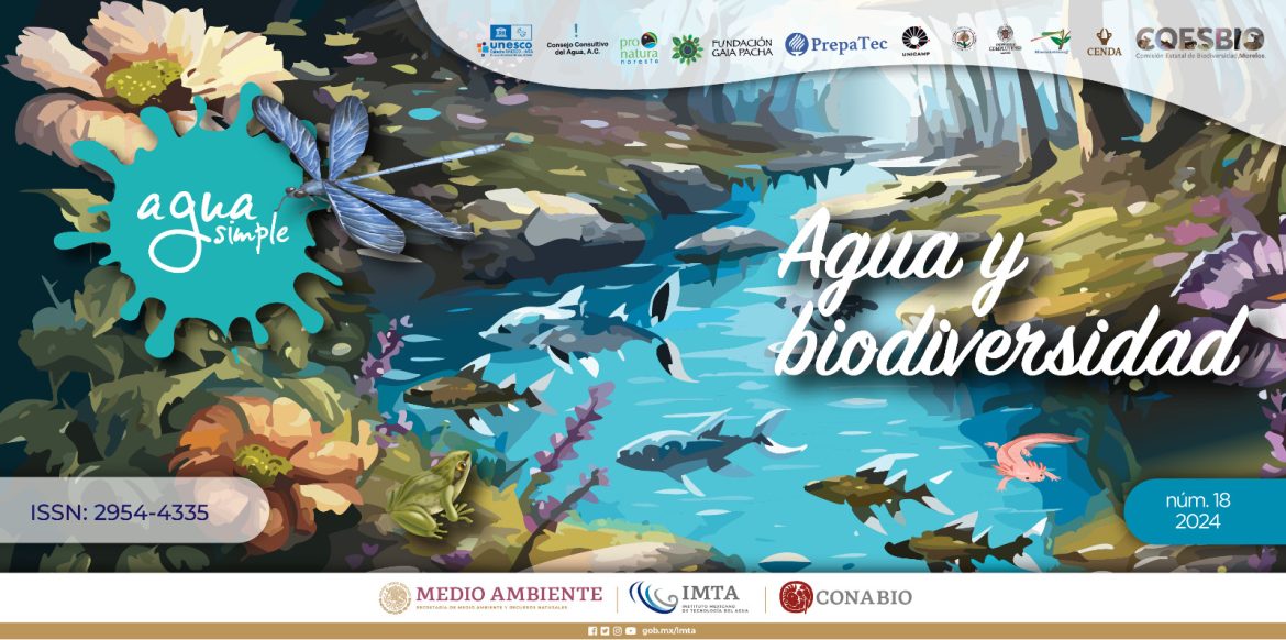 Imagen ilustrativa de Agua Simple Relación entre agua y biodiversidad