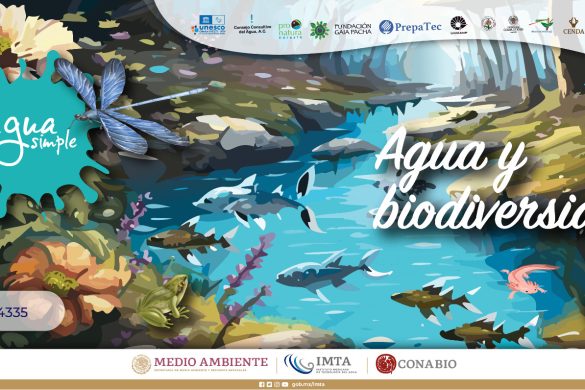 Imagen ilustrativa de Agua Simple Relación entre agua y biodiversidad