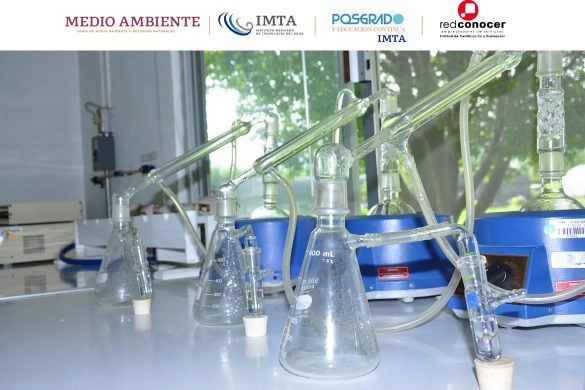 Imagen ilustrativa del programa de capacitación IMTA