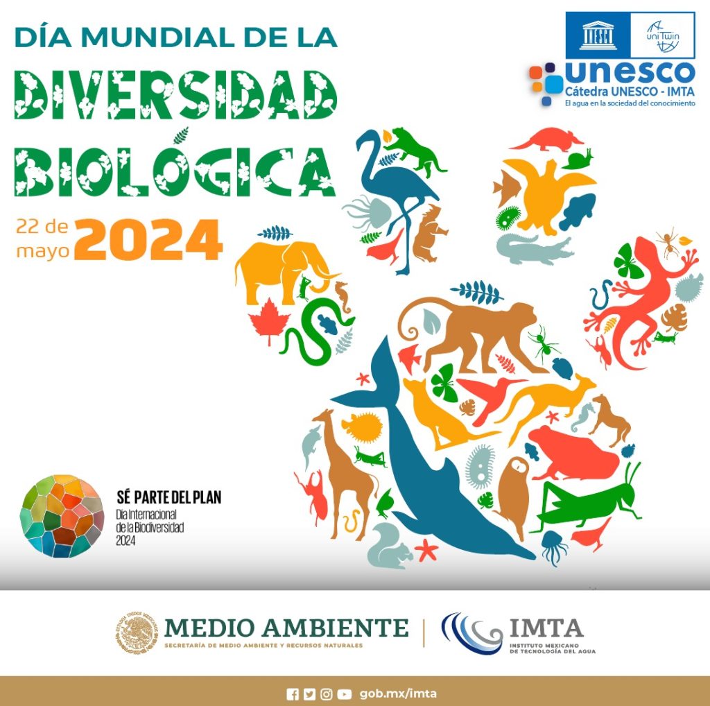 Imagen ilustrativa Día Internacional de la Biodiversidad 2024