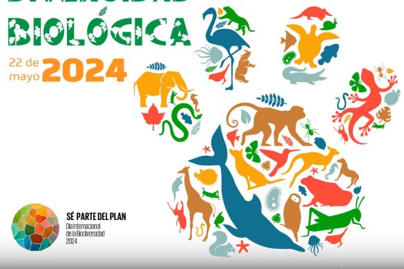 Imagen ilustrativa Día Internacional de la Biodiversidad 2024