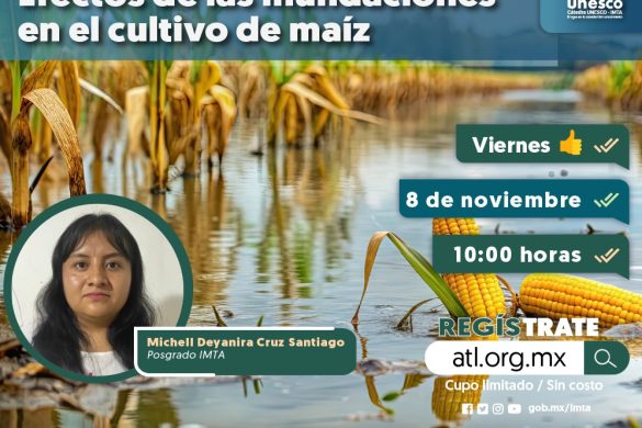 Efectos de las inundaciones en el cultivo de maíz