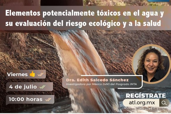 Elementos potencialmente tóxicos en el agua y su evaluación del riesgo ecológico y a la salud